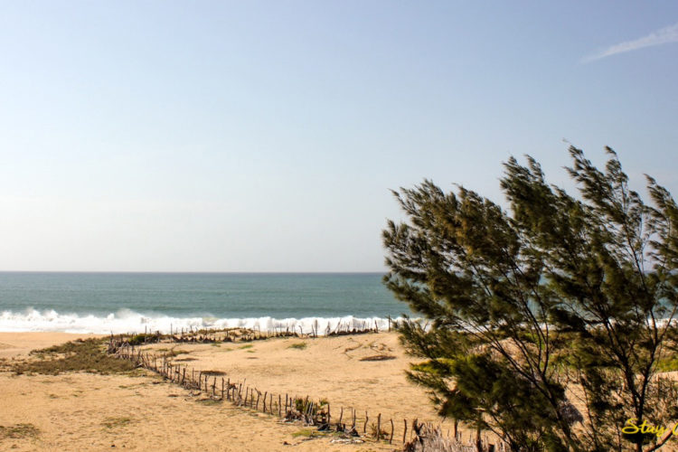 Stay Golden Arugam Bay Meerblick und Natur